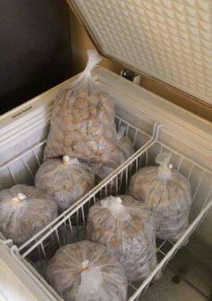 Foto resep Bakso Sehat bebas pengawet