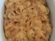 A picture of shell pasta