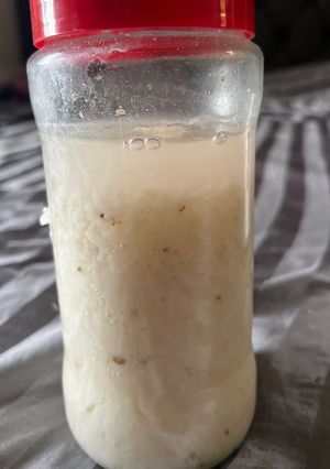 A picture of Rice 🍚 wine 🍷 update!! Yes it worked 🎉🥳.