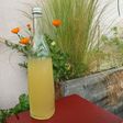 Limonade aux fleurs de sureau