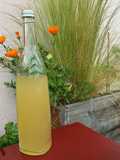 Limonade aux fleurs de sureau