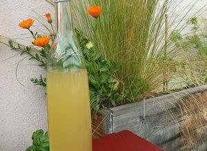 Une photo de Limonade aux fleurs de sureau