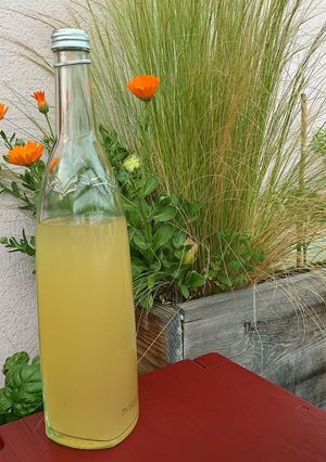 Une photo de Limonade aux fleurs de sureau