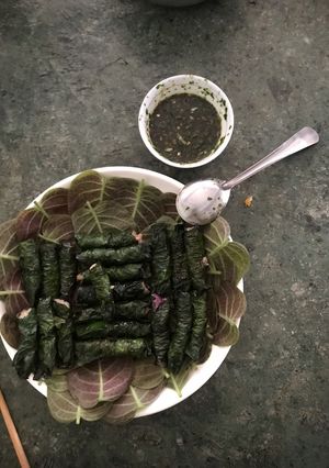 Hình của món Thịt heo nướng lá lốt cuốn kèm lá mơ lông.