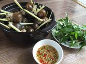 A picture of ốc nhồi thịt