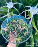 Thịt bò xào cải bó xôi topping mè trắng