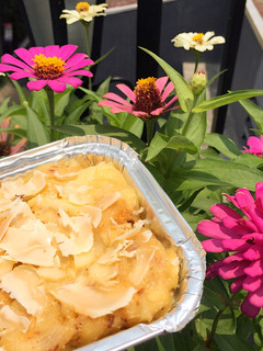 Foto resep Macaroni Schotel Cheese Sauce