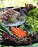 Cá Diêu Hồng hấp không ướp gia vị