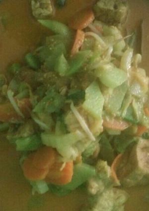 Foto resep Santan gulai nano-nano