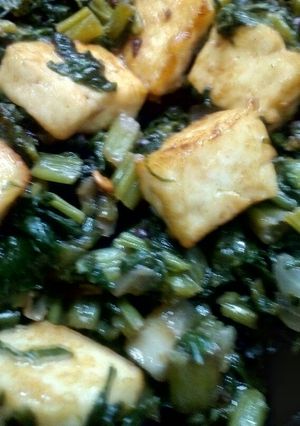 A picture of Paneer Palak.