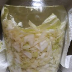 Sauerkraut Batch 2 A picture of Sauerkraut Batch 2.