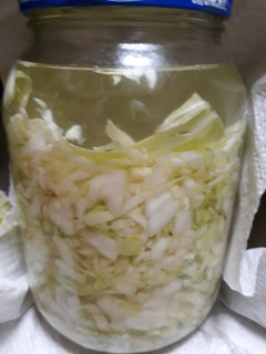 A picture of Sauerkraut Batch 2.