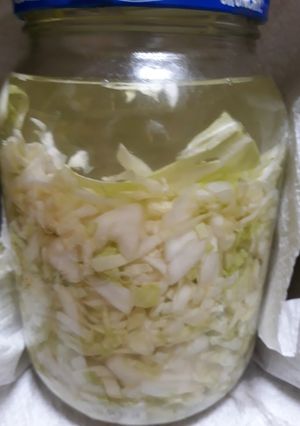 A picture of Sauerkraut Batch 2.