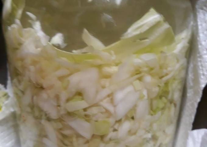 Step-by-Step Guide to Prepare Super Quick Homemade Sauerkraut Batch 2