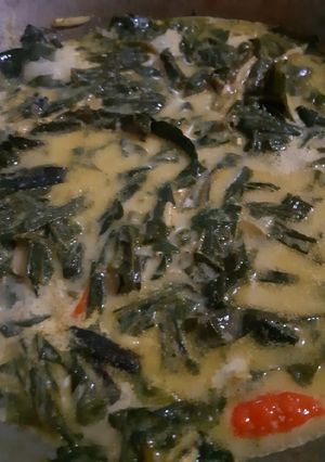 Foto resep Sayur santan daun singkong teri