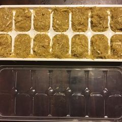 A picture of California Farm Frozen Garlic Puree Paste Ice Cubes.