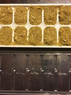 A picture of California Farm Frozen Garlic Puree Paste Ice Cubes.