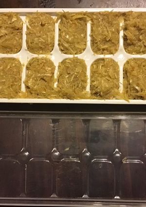 A picture of California Farm Frozen Garlic Puree Paste Ice Cubes.