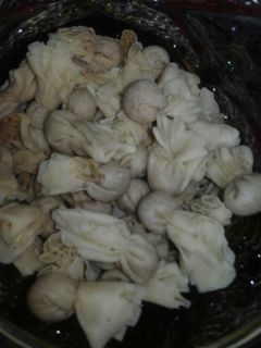 Foto resep Pangsit abon