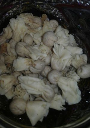 Foto resep Pangsit abon