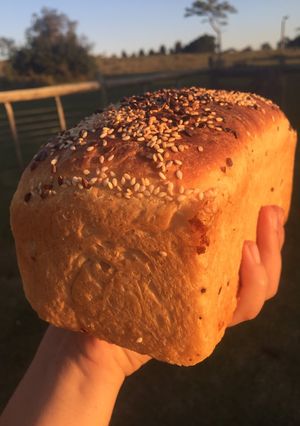 Una foto de Pan Americano