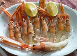 Foto di Scampi crudi