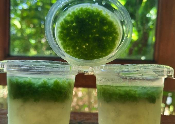 Resep Puding lumut daun pandan+kelor simple Anti Gagal