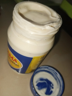 A picture of Homemade Mayonnaise.