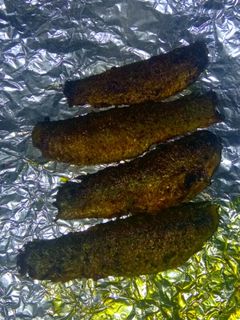 फ्राई मछली(Fry machli recipe in Hindi) रेसिपी मुख्य फोटो