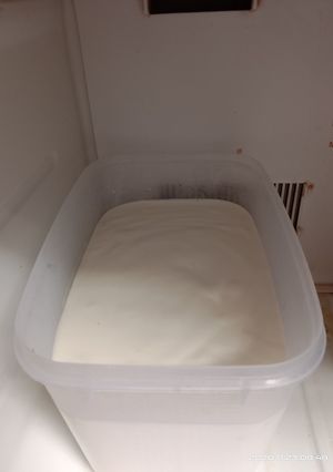 Foto resep Es krim ku