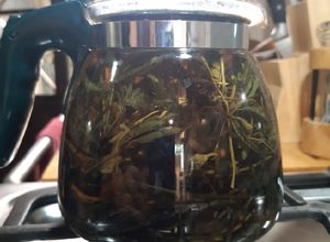 Una foto de Té de Sarsaparrilla, Cola de caballo y Dormilona