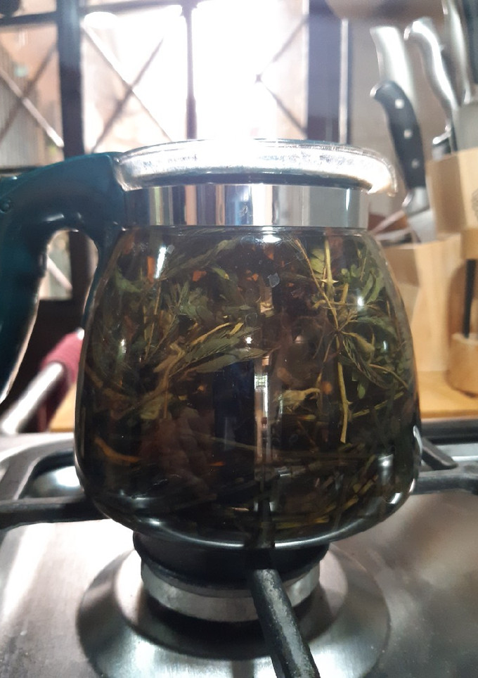 Una foto de Té de Sarsaparrilla, Cola de caballo y Dormilona
