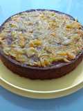 Torta di noci