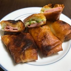 A picture of Ham Chinese spring roll.