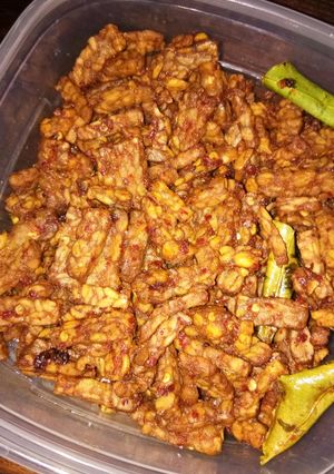 Foto resep Orek tempe pedas ala Ibun Nica