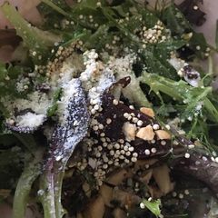 A picture of Fennel salad in lemon vinaigrette.