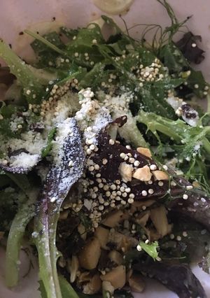 A picture of Fennel salad in lemon vinaigrette.