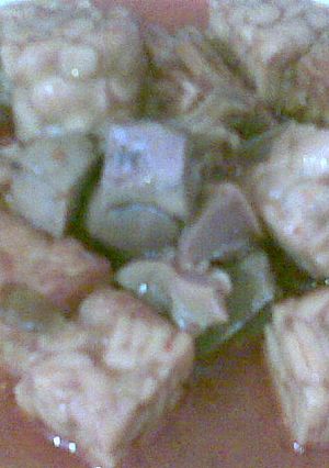 Foto resep Krengseng Ati Ampela & Tempe