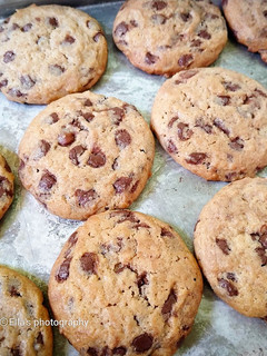 A picture of Chocolate chip cookies.