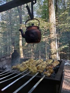 عکسی از دستور جوجه کباب