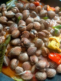 Foto resep Kerang Dara Saos Padang