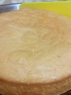 Foto resep Bolu Nutrijel