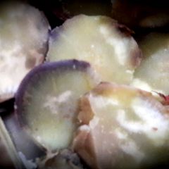 A picture of Sweet potato off the burner.