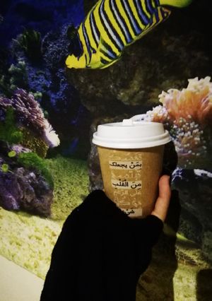 صورة لوصفة القهوه الي انا اسويها 😌😍