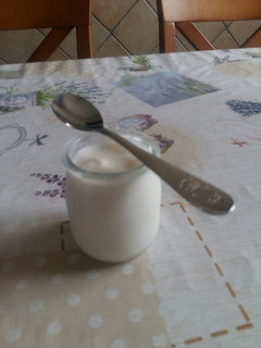 Una foto de Yogur Natural Casero en Panificadora Lidl 2020