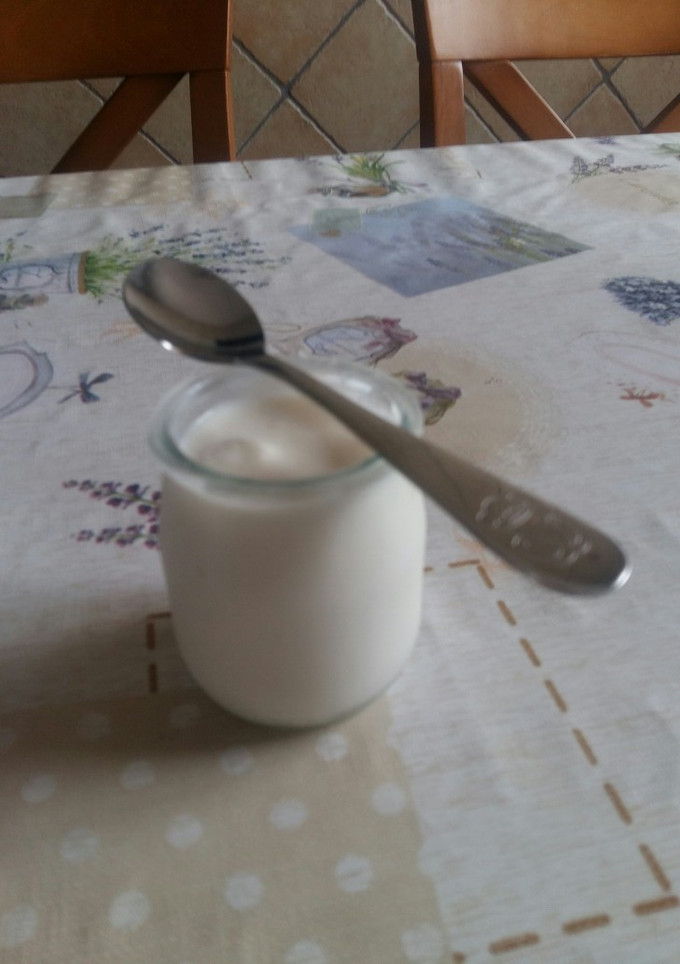 Una foto de Yogur Natural Casero en Panificadora Lidl 2020