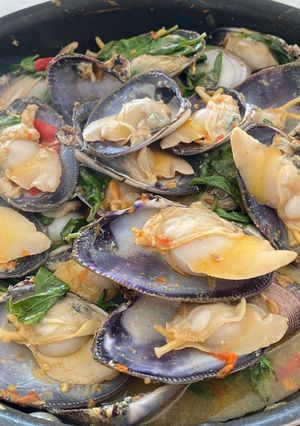 A picture of Stir Fried Clam with Sweet Basil (Thai Basil).