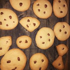 A picture of Cookies.