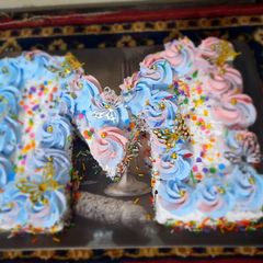 A picture of M-shaped Vanilla cake inside chocolate sponge.
