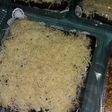 Brownies kukus ny.Liem